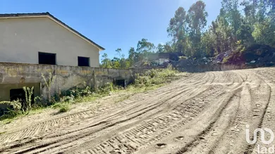 Domaine  à Forjães