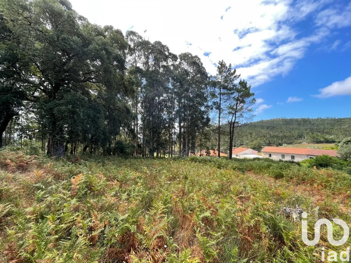 Terreno de 10 350 m² em Palmeira de Faro e Curvos