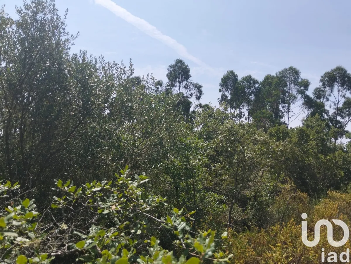 Terreno de 1760 m² em Chãos