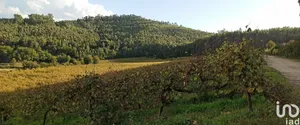 Herdade  em Gamil E Midões