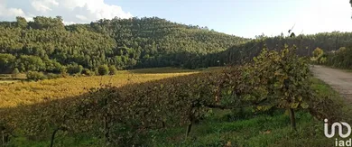 Domain  in Gamil E Midões