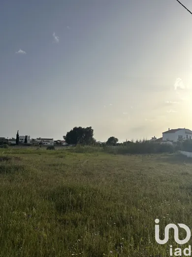 Terreno rústico  em Guia