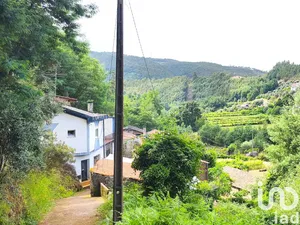 House in Semide e Rio Vide