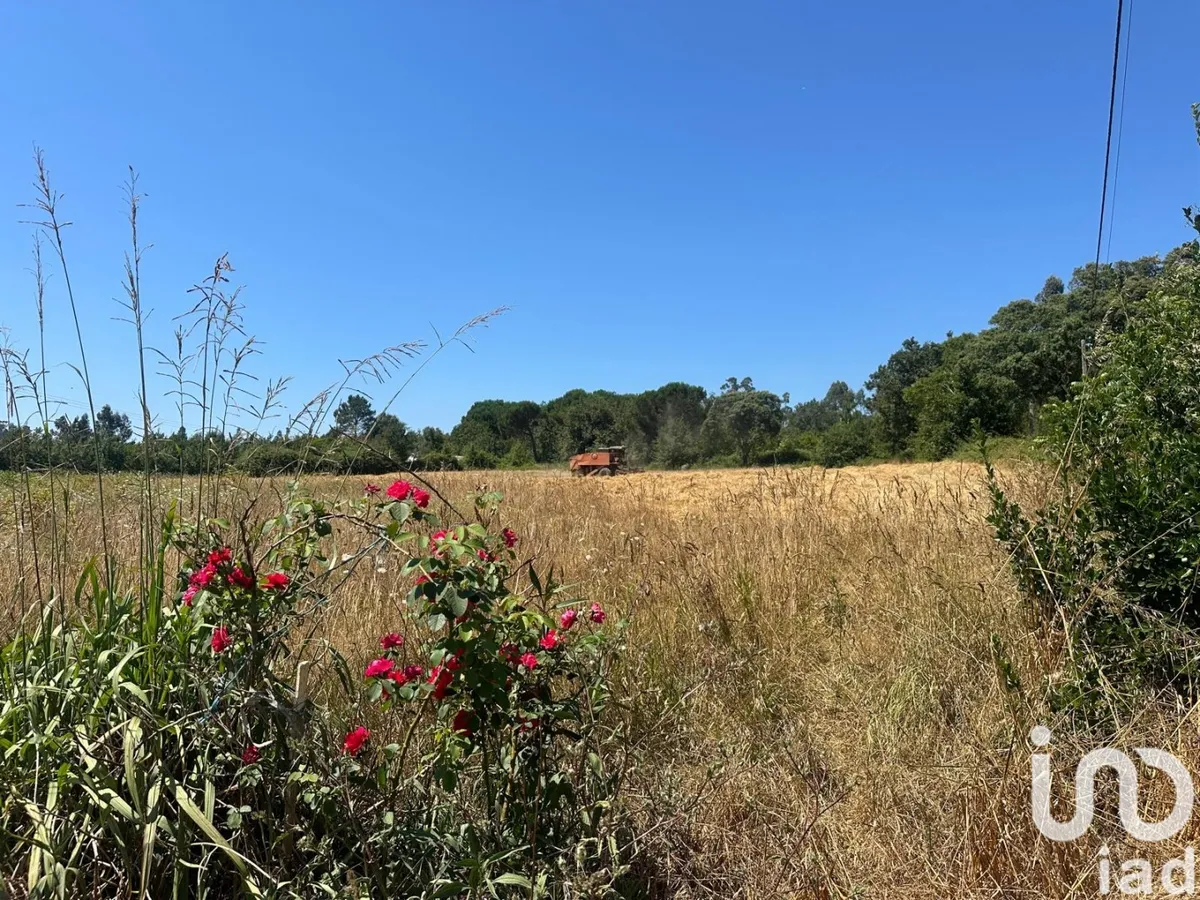 Terreno urbano de 9500 m² em Requeixo, Nossa Senhora de Fátima e Nariz