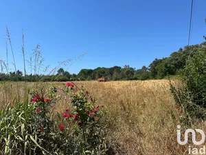 Building plot at Requeixo, Nossa Senhora de Fátima e Nariz