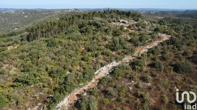 Casa/Moradia em Freixianda, Ribeira do Fárrio e Formigais