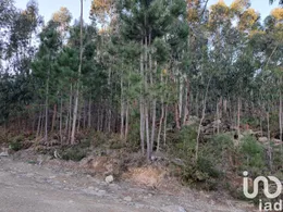 Terrain à Pico de Regalados, Gondiães e Mós