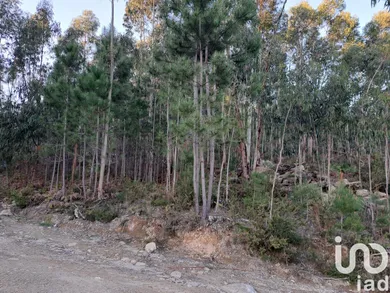 Terrain  à Pico de Regalados, Gondiães e Mós