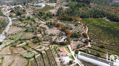 Fotografia 7 de Terreno rústico de 1600 m² em Mangualde