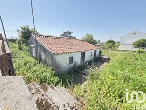 Terreno  em Alvarães