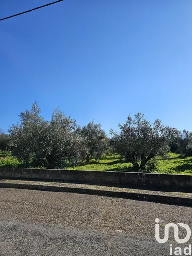 Building plot  in Chamusca e Pinheiro Grande