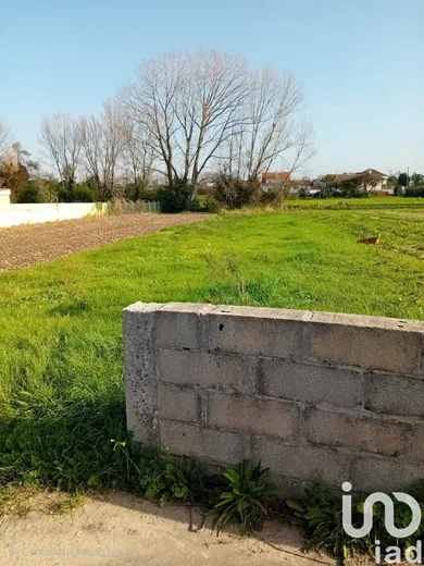 Terrain  à Pardilhó