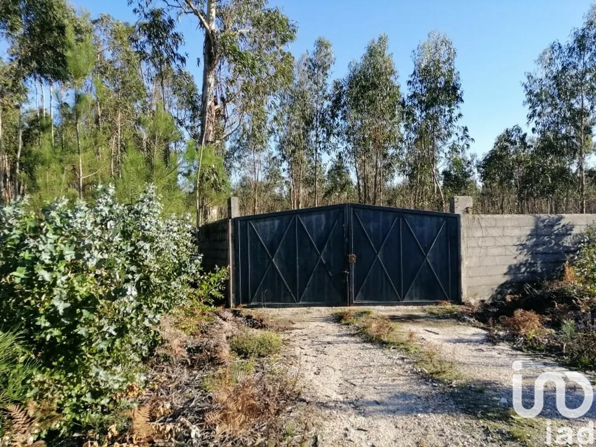 Terreno de 140 000 m² em Monte Real e Carvide