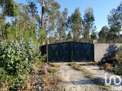 Fotografia 9 de Terreno de 1200 m² em Carvide