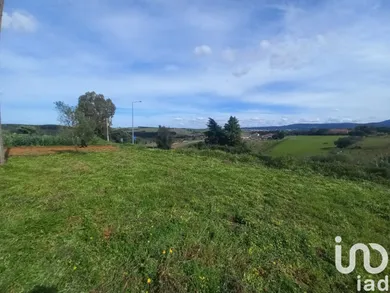 Terreno  em Cadaval e Pêro Moniz