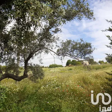 Terreno urbano  em Tavira (Santa Maria e Santiago)