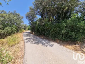 Land at Santa Bárbara de Nexe