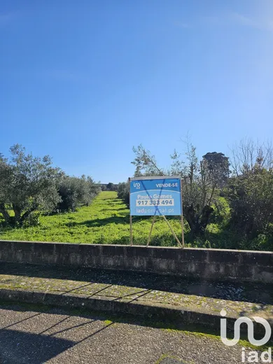 Building plot  in Chamusca e Pinheiro Grande