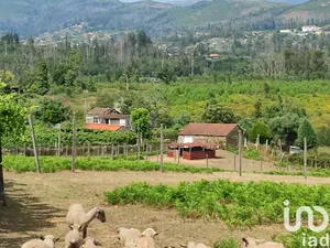 Maison  à Monção e Troviscoso