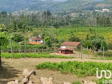 Maison  à Monção e Troviscoso
