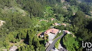 Quinta  em Santo António da Serra