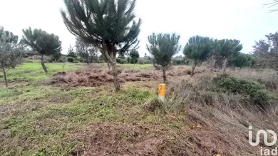 Terrain  à Seixo da Beira