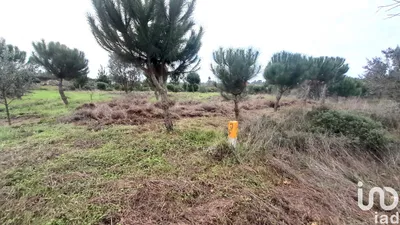 Fotografia 3 de Terreno de 16 000 m² em Seixo da Beira