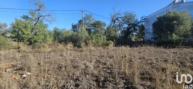 Terreno  em Boliqueime