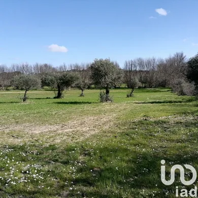 Terrain agricole   à Castelo Branco