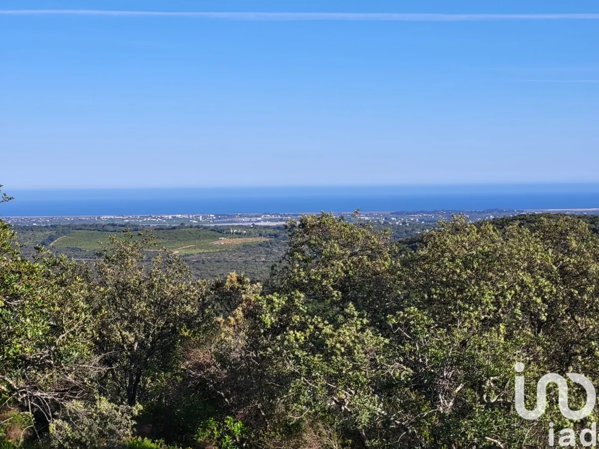 Terreno urbano de 230 000 m² em Santa Catarina da Fonte do Bispo
