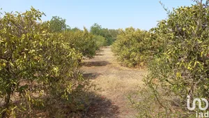 Land  at Loulé (São Sebastião)