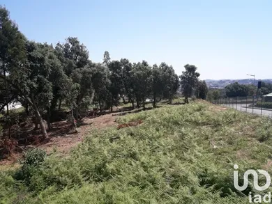 Land  in Avintes