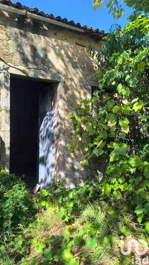 House  at Ovar, São João, Arada e São Vicente de Pereira Jusã