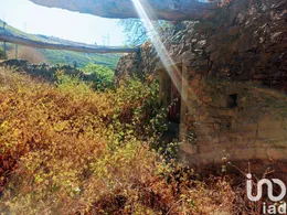 Farm  in Parada do Bispo e Valdigem