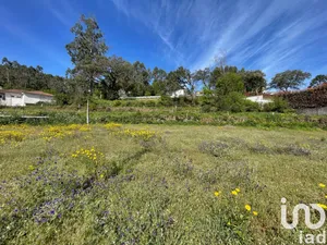 Land  in Campo E Tamel (São Pedro Fins)