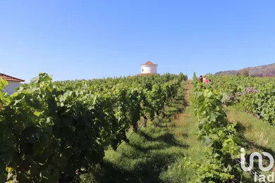 Farm in Cabeça Boa
