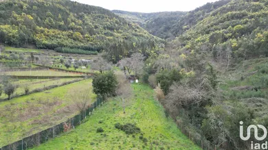 Farm land at Lousã e Vilarinho