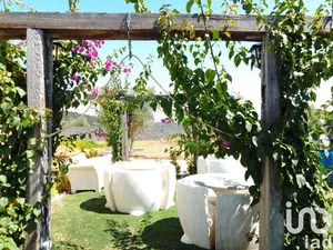 Casa/Moradia  em Abrantes (São Vicente e São João) e Alferrarede