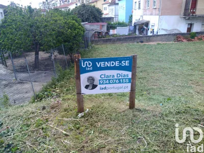 Fotografia 6 de Terreno rústico de 12 800 m² em Coimbra