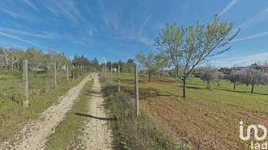 Terrain  à Pedrógão Grande
