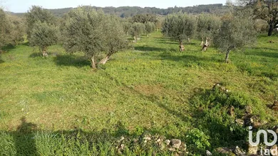 Terreno  em Igreja Nova do Sobral