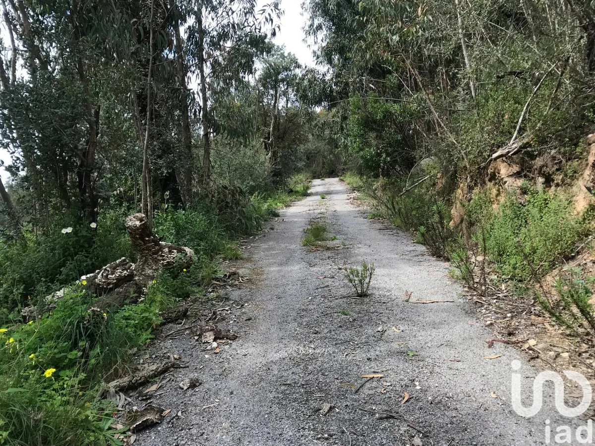 Terreno de 4280 m² em Monchique