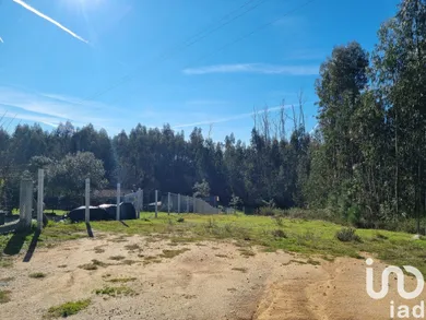 Terreno em Poiares (Santo André)