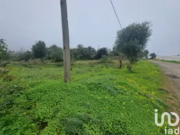 Terrain à São Brás de Alportel