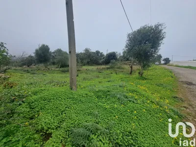 Fotografia 3 de Terreno de 1350 m² em São Brás de Alportel