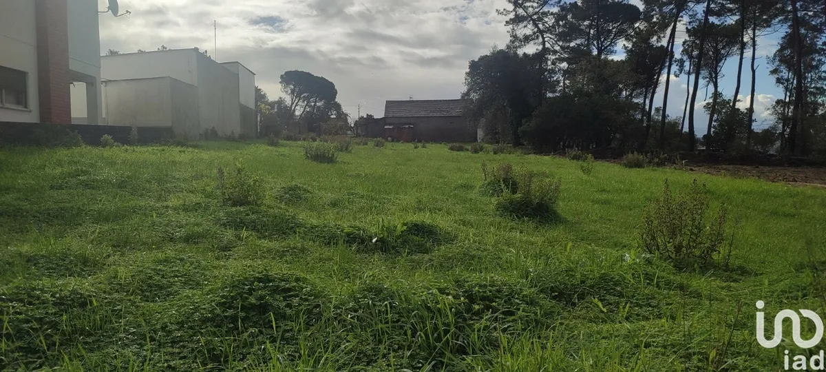 Terreno urbano de 891 m² em Caranguejeira