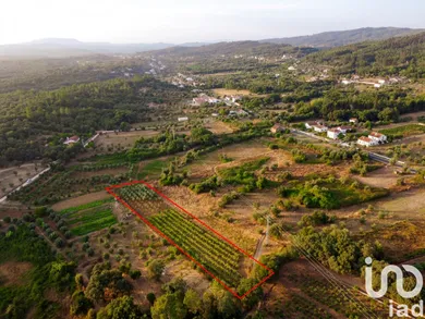 Terreno  em Areias e Pias