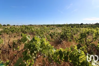 Land  in Silves