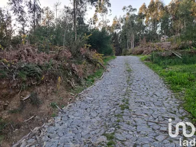 Land at Pico de Regalados, Gondiães e Mós