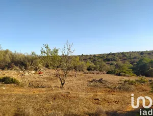 Parque de campismo em Bensafrim e Barão de São João